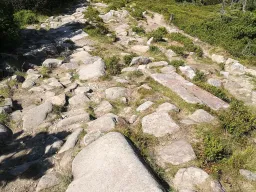 Jesteśmy  - Odpust św. Wawrzyńca na Śnieżce 2020