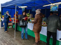 Niedziela Palmowa 2026